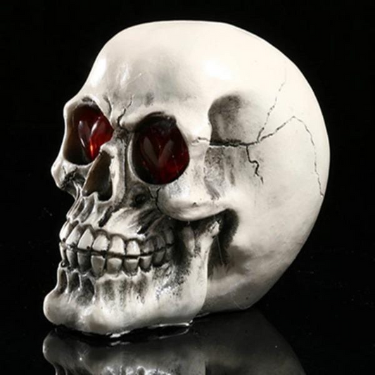 Halloween Skull Ornament - Bilankas.world